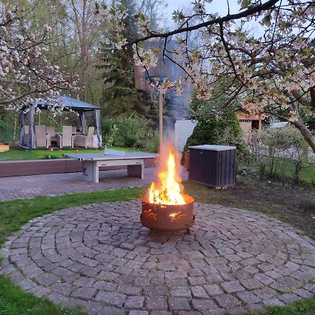 Grosszuegige Ferienwohnung Am Waldesrand Im Seenland Lauta 外观 照片
