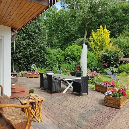 Grosszuegige Ferienwohnung Am Waldesrand Im Seenland Lauta 外观 照片