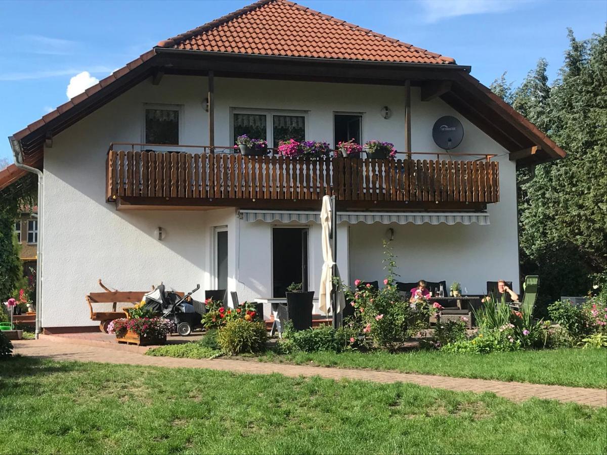 Grosszuegige Ferienwohnung Am Waldesrand Im Seenland Lauta 外观 照片