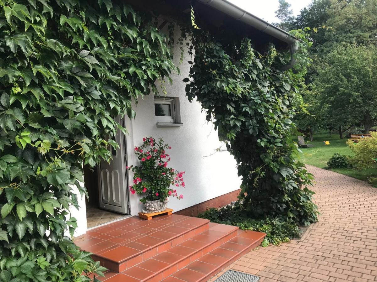 Grosszuegige Ferienwohnung Am Waldesrand Im Seenland Lauta 外观 照片