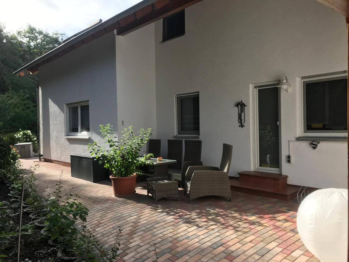 Grosszuegige Ferienwohnung Am Waldesrand Im Seenland Lauta 外观 照片