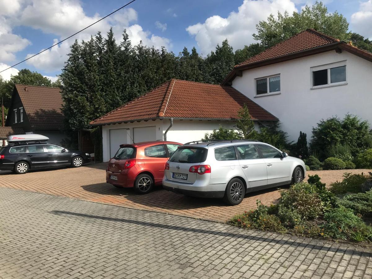 Grosszuegige Ferienwohnung Am Waldesrand Im Seenland Lauta 外观 照片