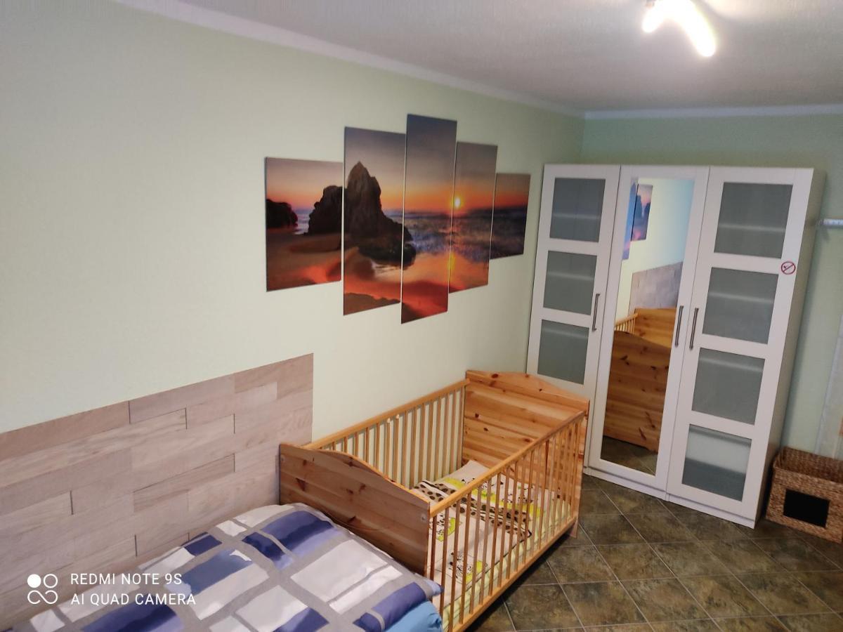Grosszuegige Ferienwohnung Am Waldesrand Im Seenland Lauta 外观 照片
