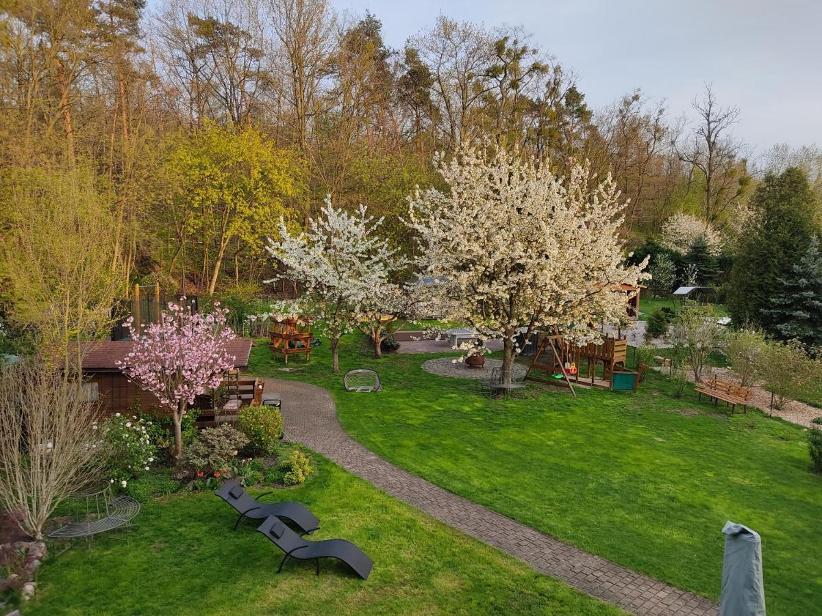 Grosszuegige Ferienwohnung Am Waldesrand Im Seenland Lauta 外观 照片